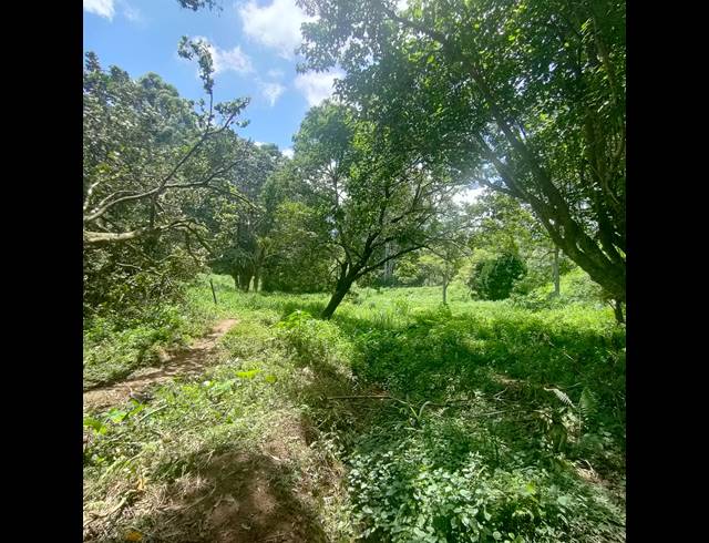 6,000M² VACANT LAND FOR SALE IN CLIFTON PARK